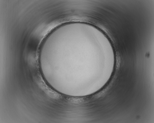 X0000115561074200912181611