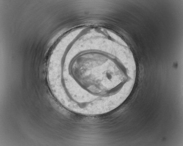 X0000115561075200912181611