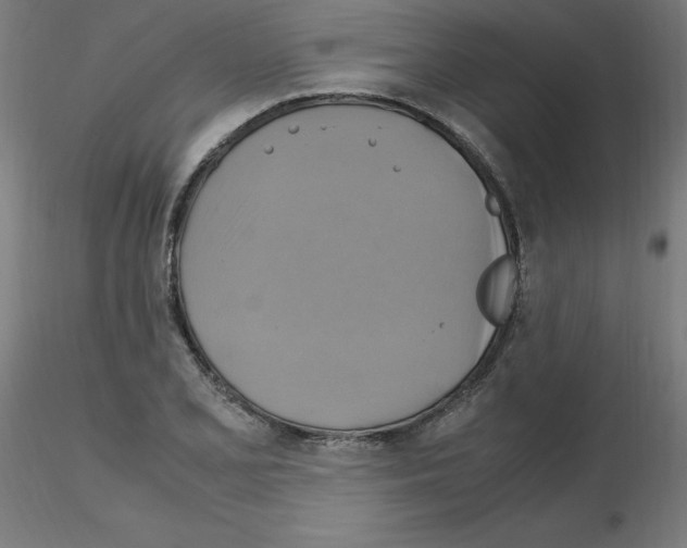 X0000115561077200912181611