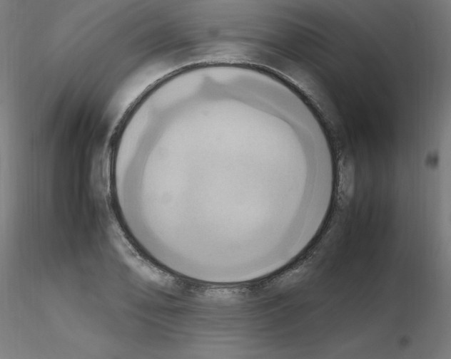 X0000115561078200912181611