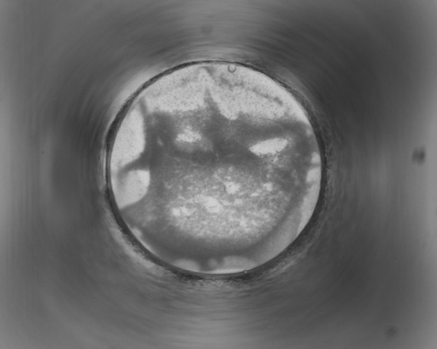 X0000115561079200912181611