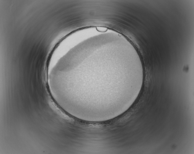 X0000115561080200912181611