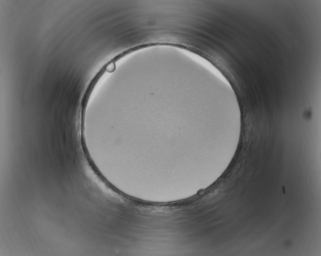 X0000115561084200912181611