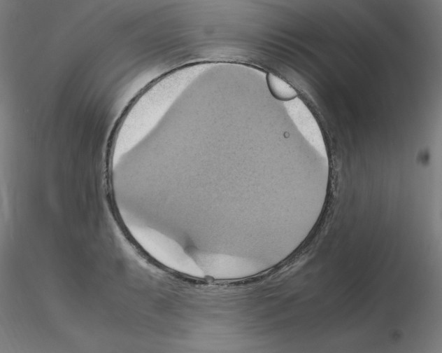 X0000115561087200912181611