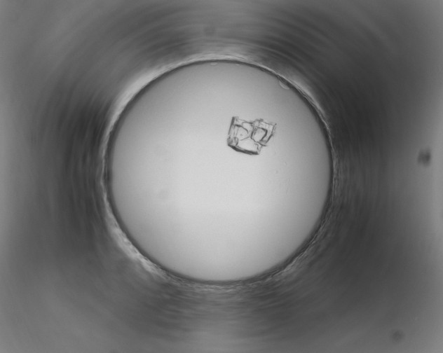 X0000115561088200912181611