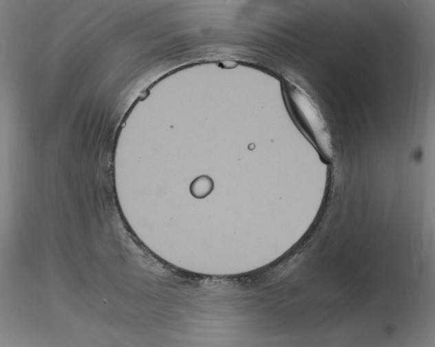 X0000115561089200912181611