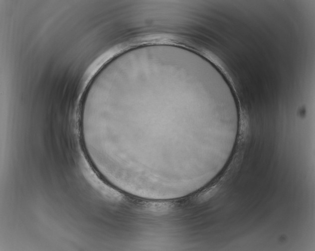 X0000115561090200912181611