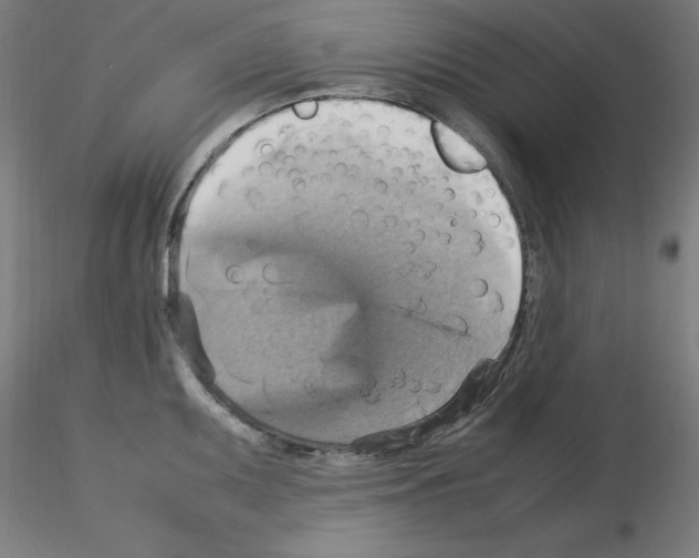 X0000115561095200912181611