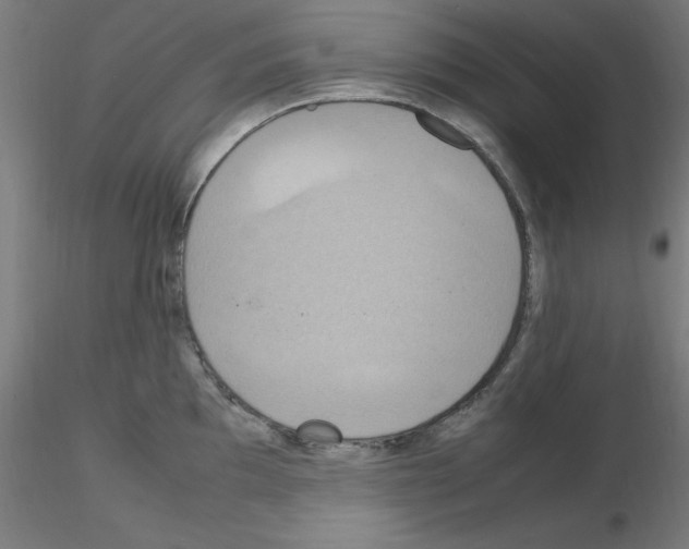 X0000115561097200912181611