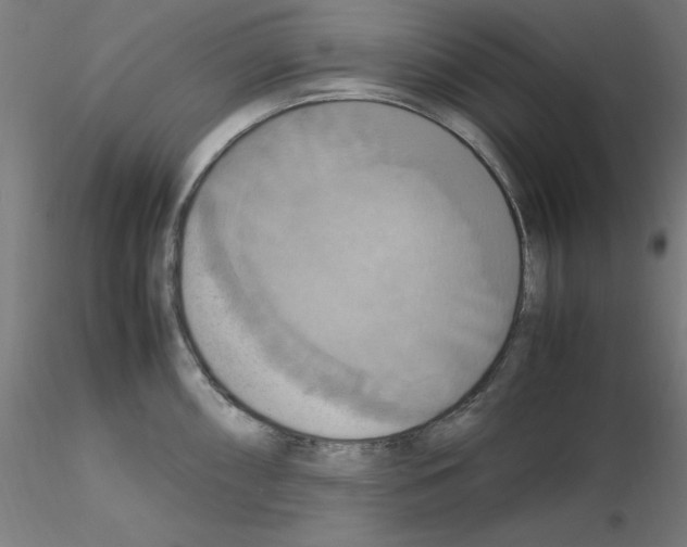 X0000115561098200912181611