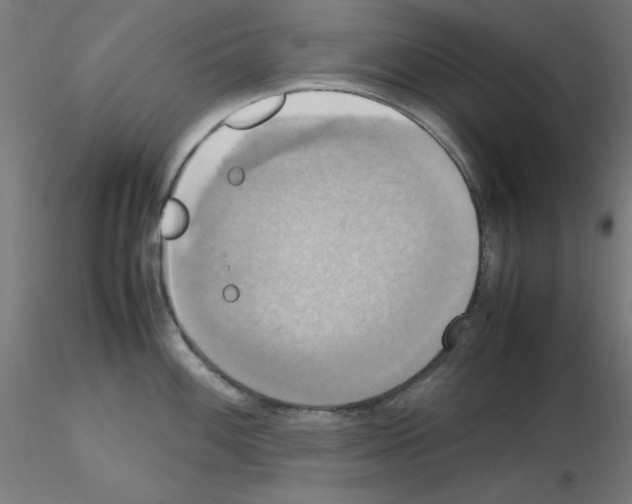 X0000115561100200912181611