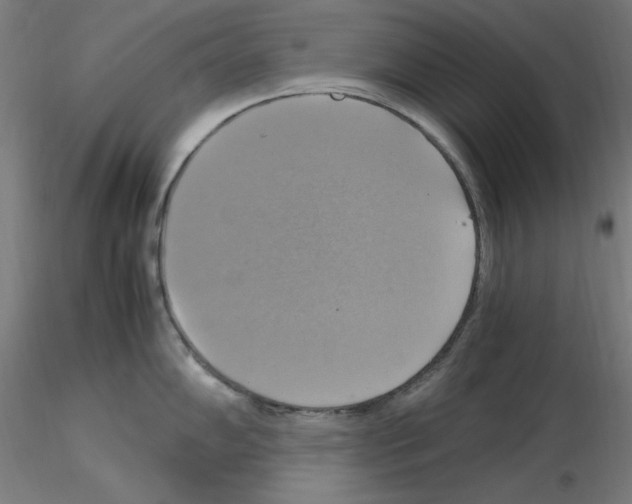 X0000115561102200912181611