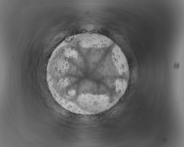 X0000115561105200912181610