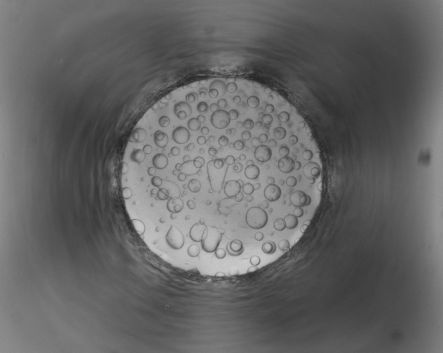 X0000115561106200912181610