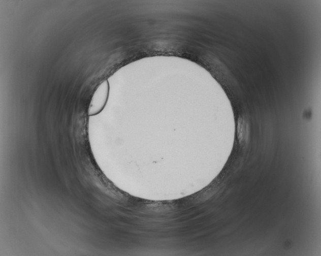 X0000115561107200912181610