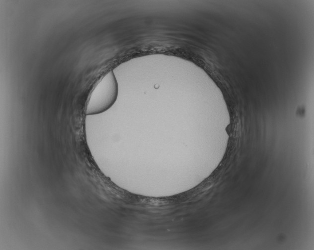 X0000115561109200912181610