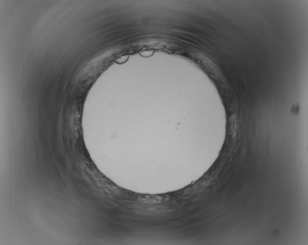 X0000115561111200912181610