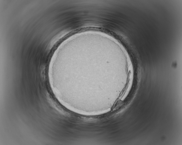 X0000115561113200912181610