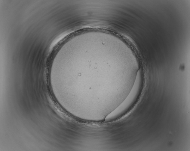 X0000115561114200912181610