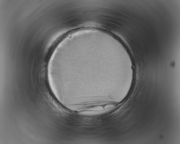 X0000115561115200912181610