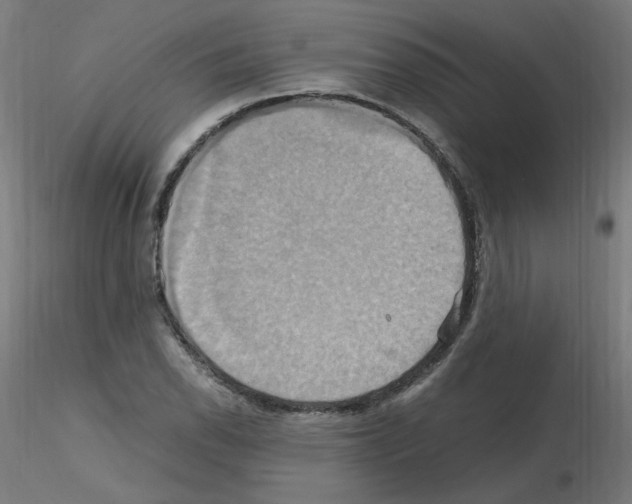 X0000115561118200912181610