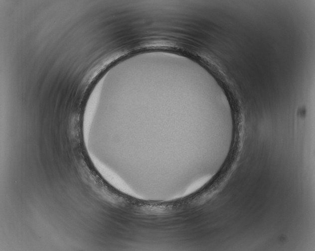 X0000115561121200912181611