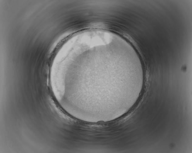 X0000115561123200912181611