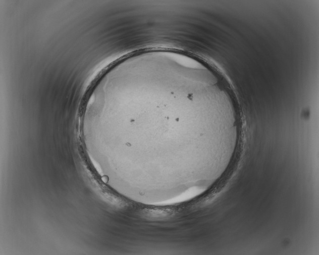 X0000115561125200912181611