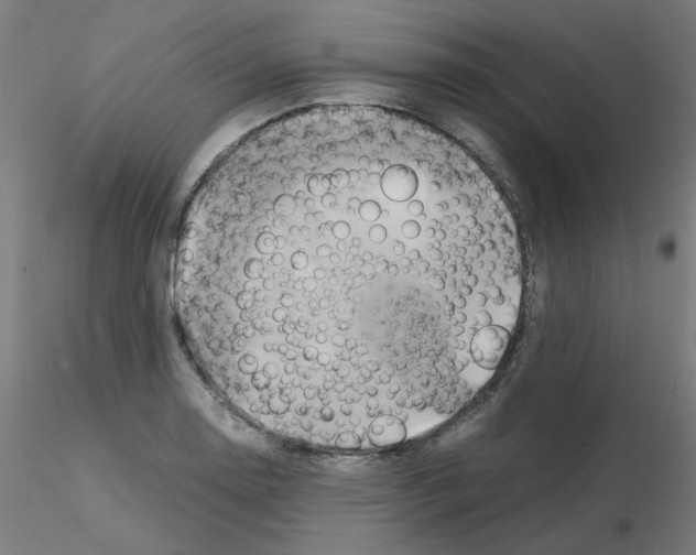 X0000115561130200912181611