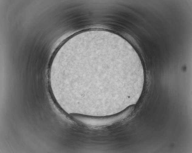 X0000115561133200912181611