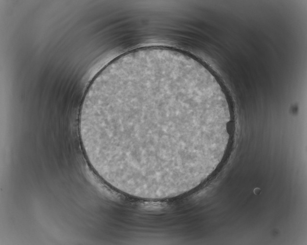 X0000115561137200912181611