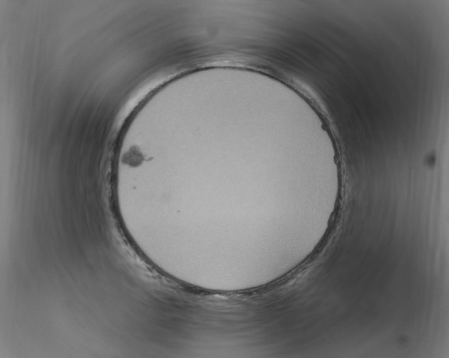 X0000115561138200912181611