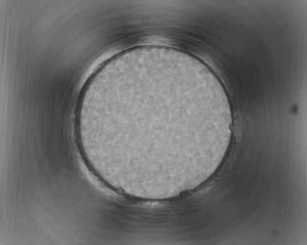 X0000115561139200912181611