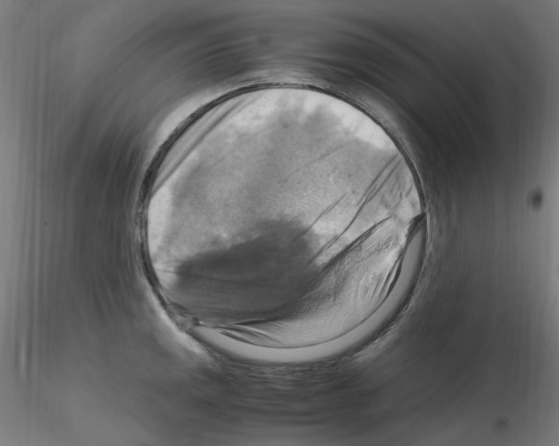 X0000115561141200912181611