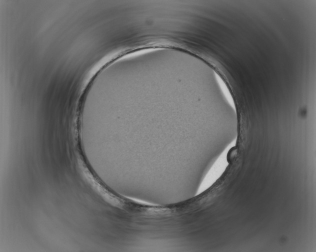 X0000115561142200912181611