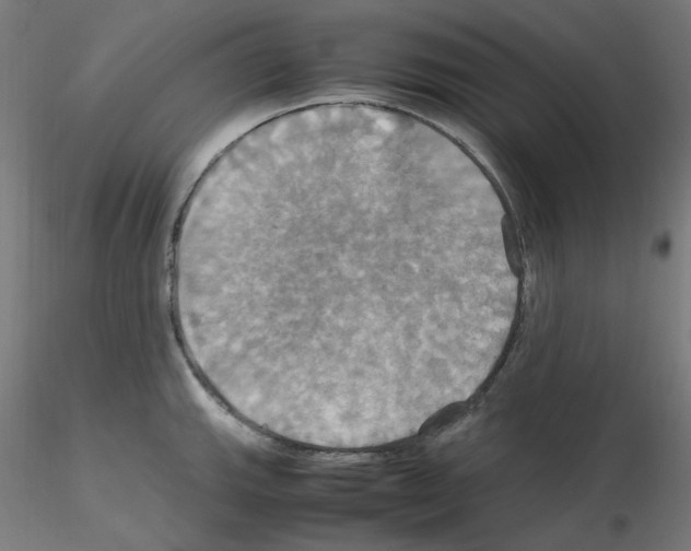 X0000115561143200912181611