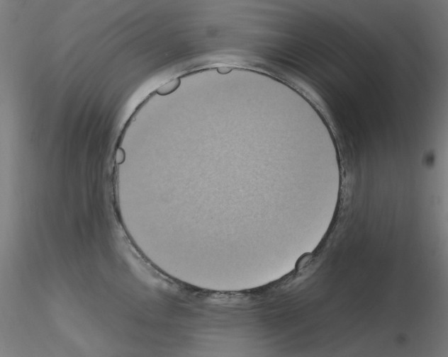 X0000115561146200912181611