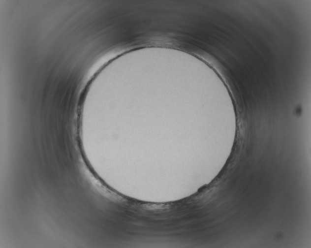 X0000115561147200912181611