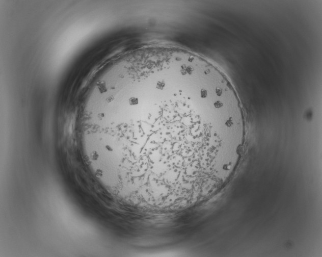 X0000115561150200912181611