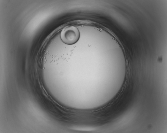 X0000115561151200912181611