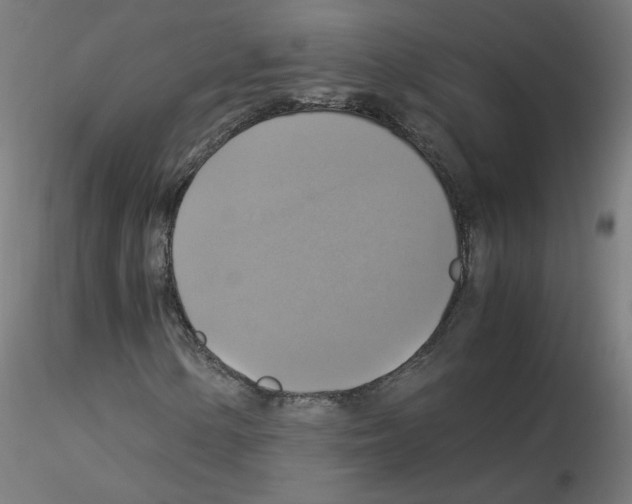 X0000115561154200912181610