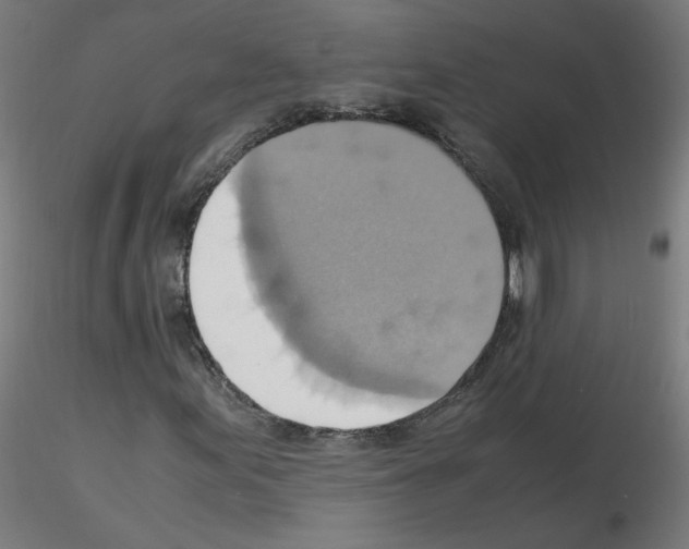 X0000115561155200912181610