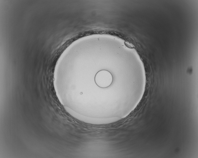 X0000115561157200912181610