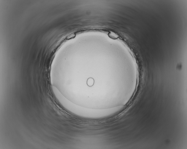 X0000115561161200912181610