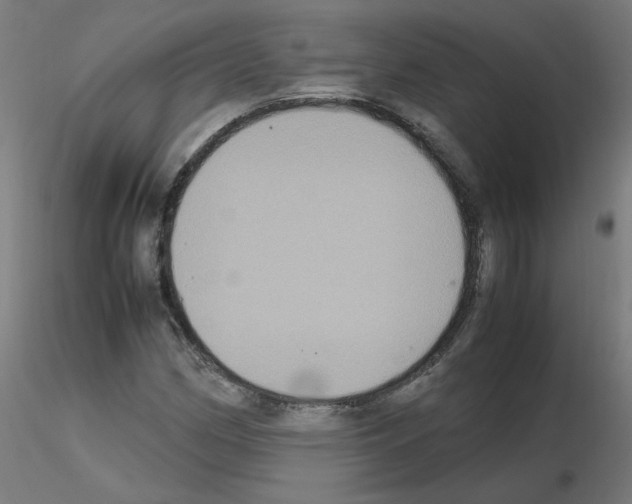 X0000115561162200912181610