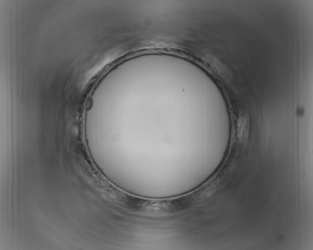 X0000115561165200912181610