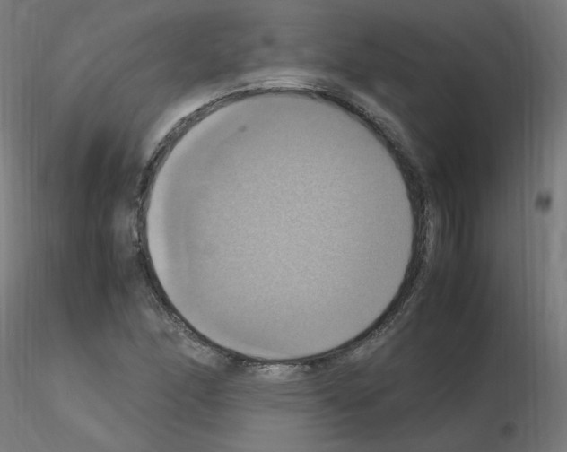 X0000115561166200912181610