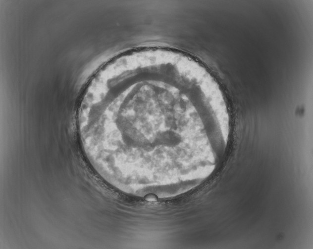 X0000115561167200912181610