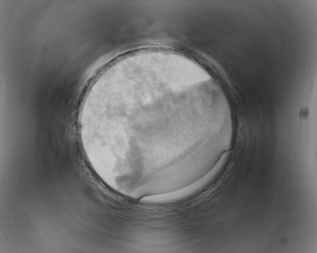 X0000115561168200912181610