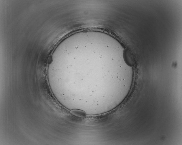 X0000115561169200912181610